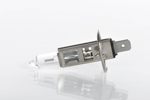 Bosch AMPUL PLUS 50 12 V H1 55 W P14.5S H1 P14.5S