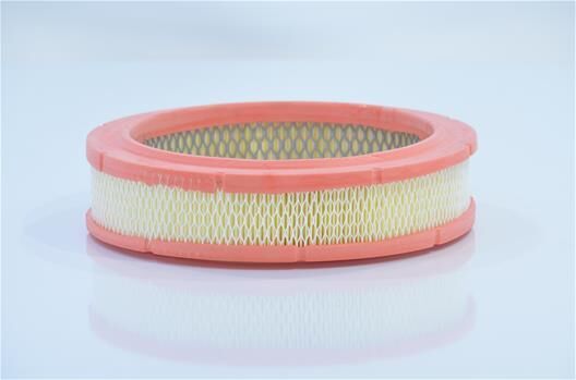 FILTORQ A2521 HAVA FİLTRESİ DKS HPU426