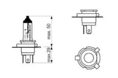 Bosch Ampul - Pure Light - 12 V - H19 - 60/55 W - PU43t-3