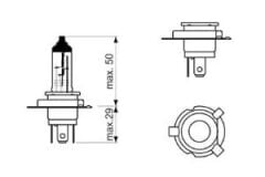 Bosch Ampul - Pure Light - 12 V - H19 - 60/55 W - PU43t-3
