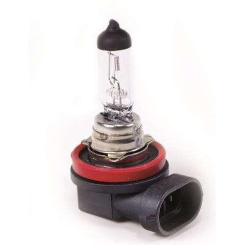 HEJALUX FAR AMPULÜ H11 12V 55W HALOJEN PLASTİK SOKET 1 ADET